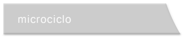microciclo